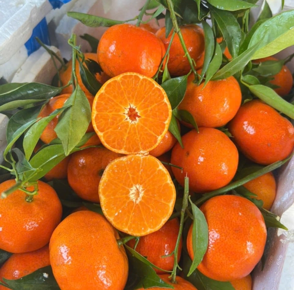 CAM CANH SIÊU NGỌT